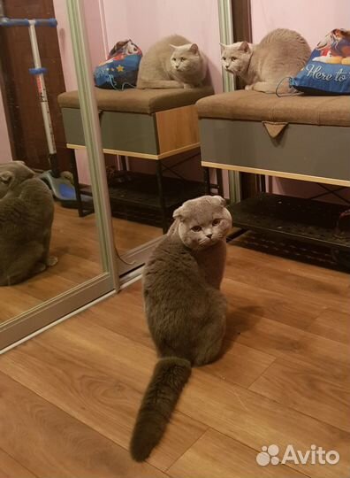 Вязка