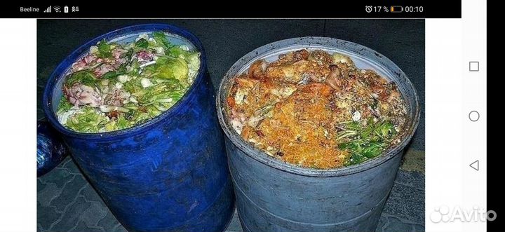 Пищевые отходы