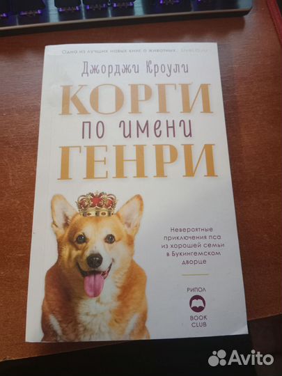Корги по имени Генри