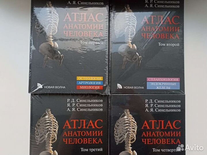Атлас анатомии человека Синельников