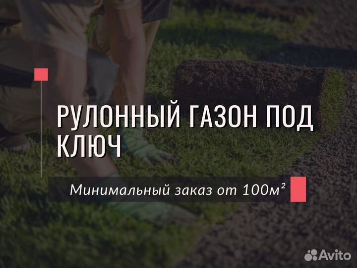 Продажа рулонного газона под ключ