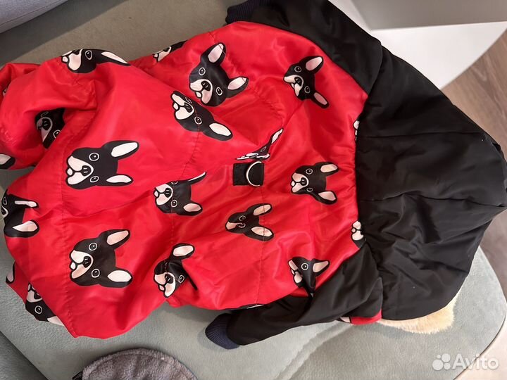 Комбинезон для собак средних пород