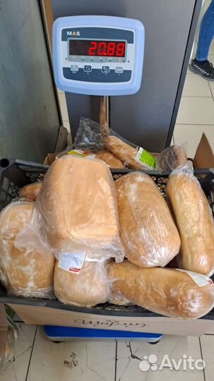 Выпускная продукция для Животных