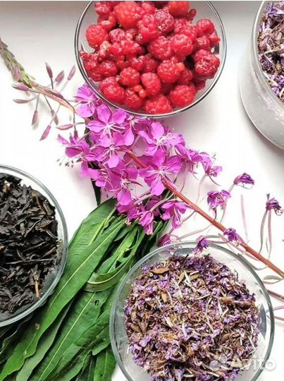 Иван чай с чабрецом