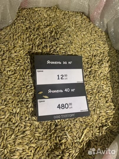 Зерно пшеница ячмень