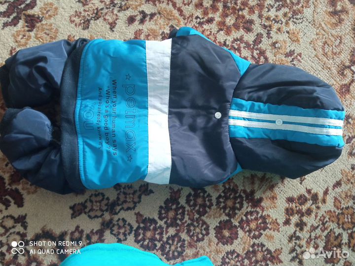 Одежда для маленьких пород собак