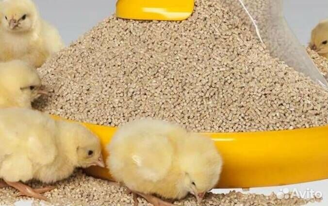 Корм для мясной птицы (бройлеры, гуси, утки,куры)