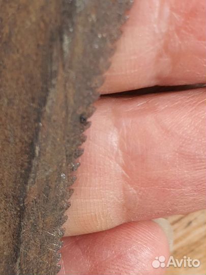 Серп старинный