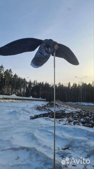 Чучела гусей Махокрыл