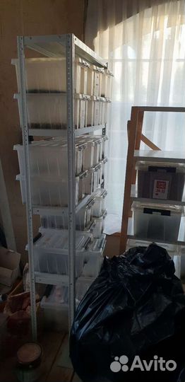 Продам бизнес - чайную компанию