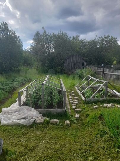 Дом 50 м² на участке 11 сот.