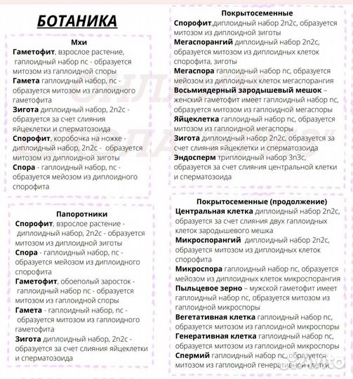 Шпоры егэ по биологии 2023