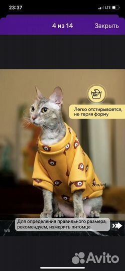 Кофта для кошек и собак маленькой породы