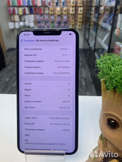 iPhone Xs Max, 256 ГБ