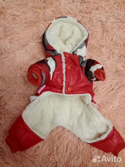 Костюм для собак