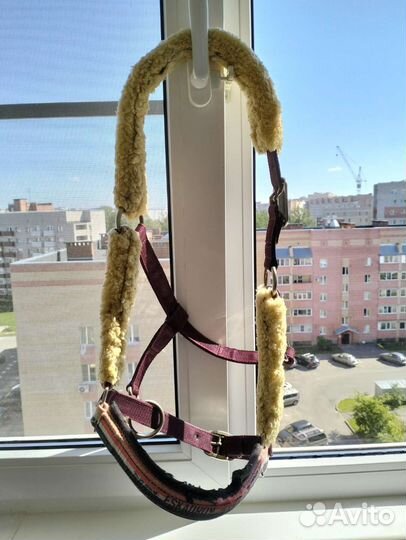 Недоуздки для лошади