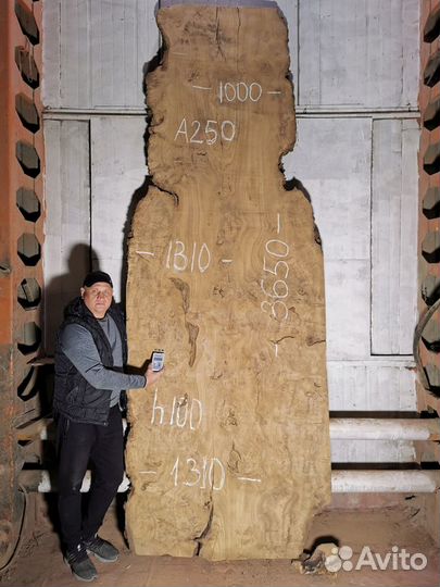 Слэбы из дерева карагач, бук, граб, тополь