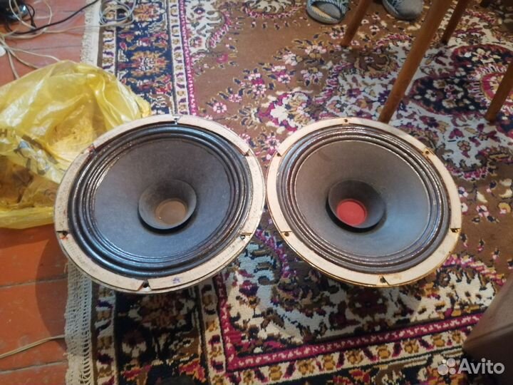 Динамики 30 гд 301