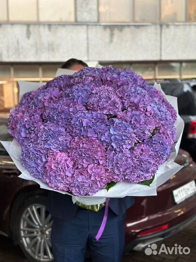Голландские гортензии / Доставка цветов