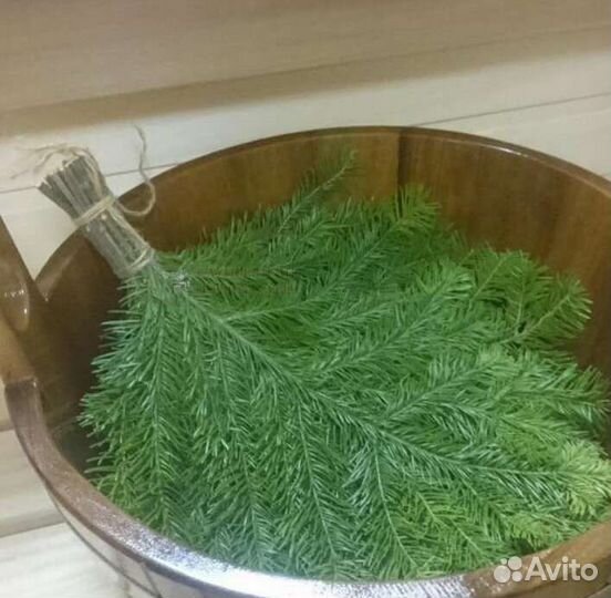 Пихтовые веники