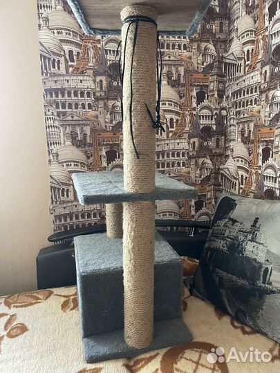 Когтеточка домик для кошки бу