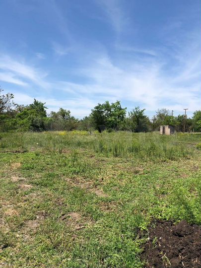 Участок 12 сот. (СНТ, ДНП)