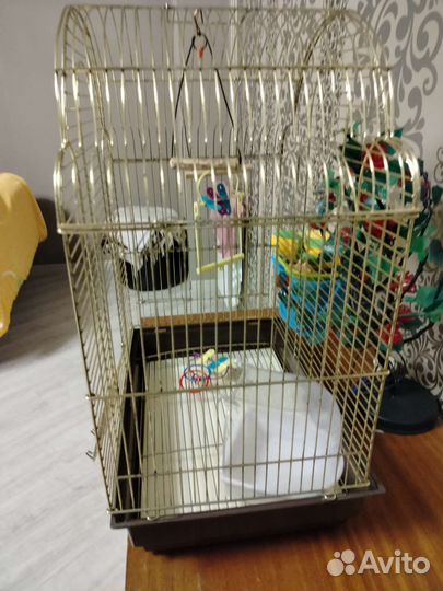 Продаются две большие клетки и белая под попугая