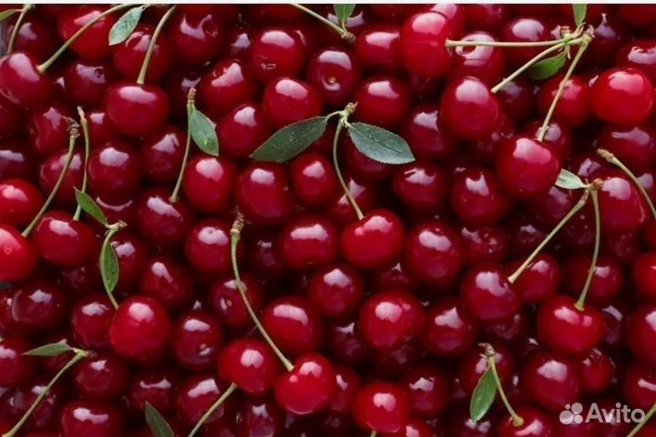 Tom ford lost cherry 100 ml