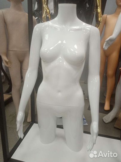 Торс женский объёмный с бедром и с руками