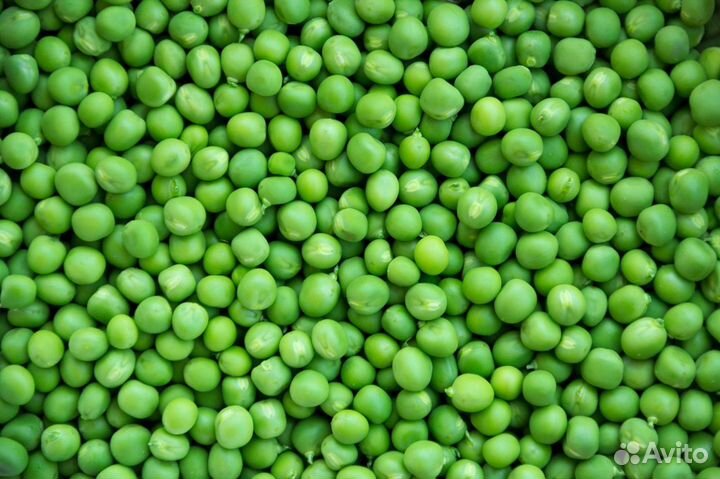 Горох. Овес