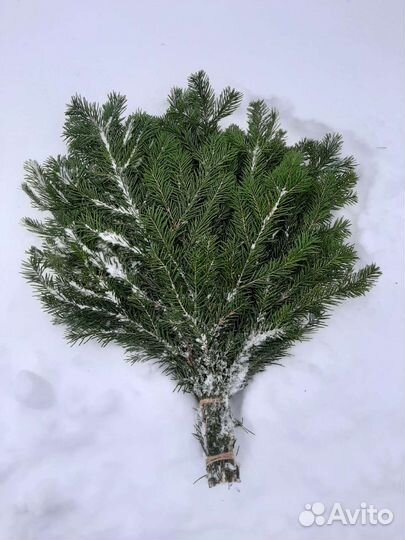 Веник пихта, берёза, дуб. Травы для запарки