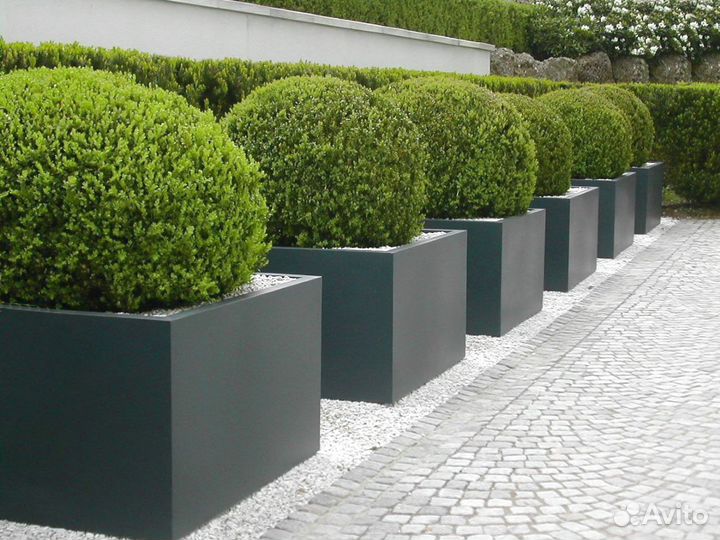 Вазоны для цветов