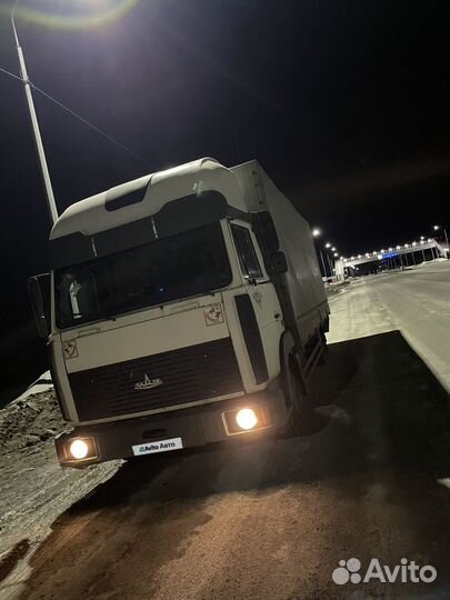 МАЗ 437041-262, 2006