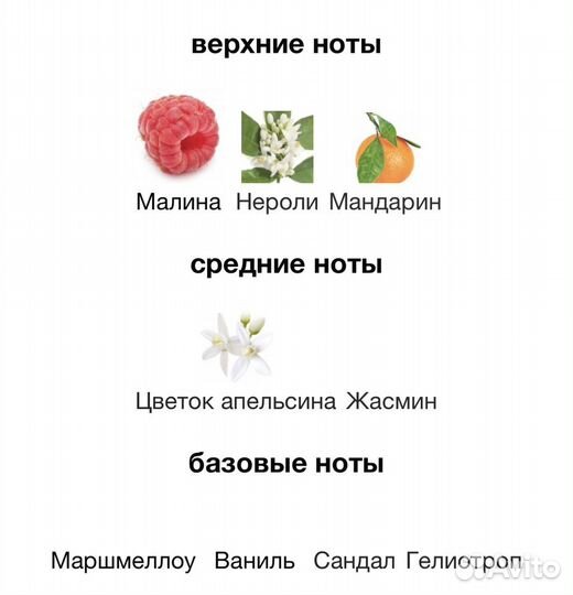 Отливанты dolce&gabbana Pour Femme