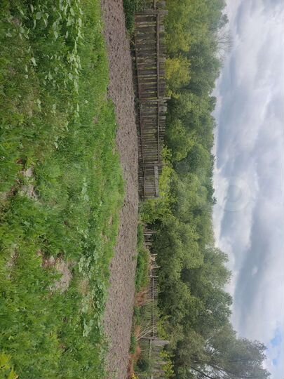 Дом 96,4 м² на участке 23 сот.