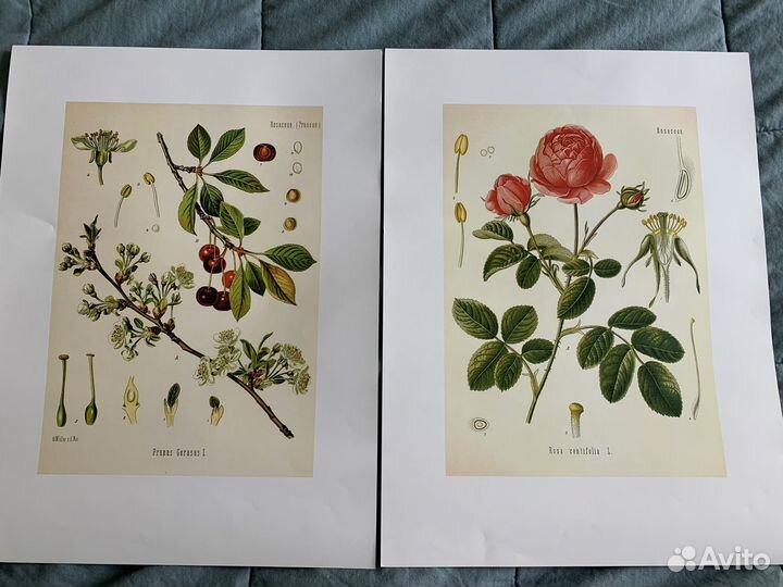 Постеры Икеа и др