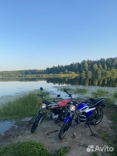 Альфа rx11 2019