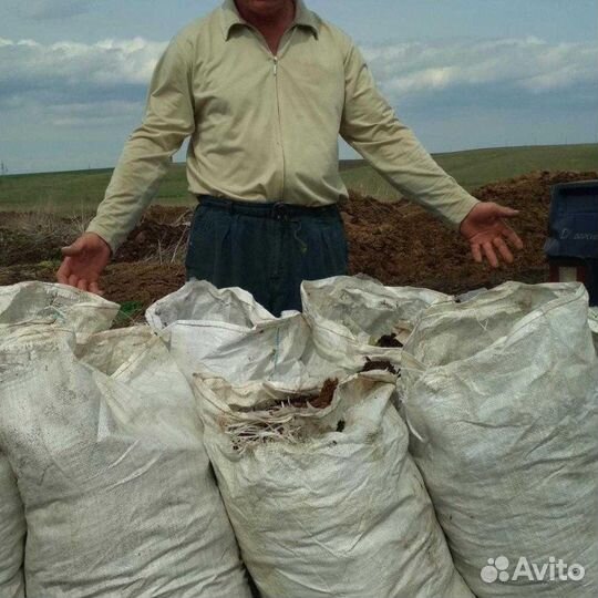 Навоз,Птичий помёт