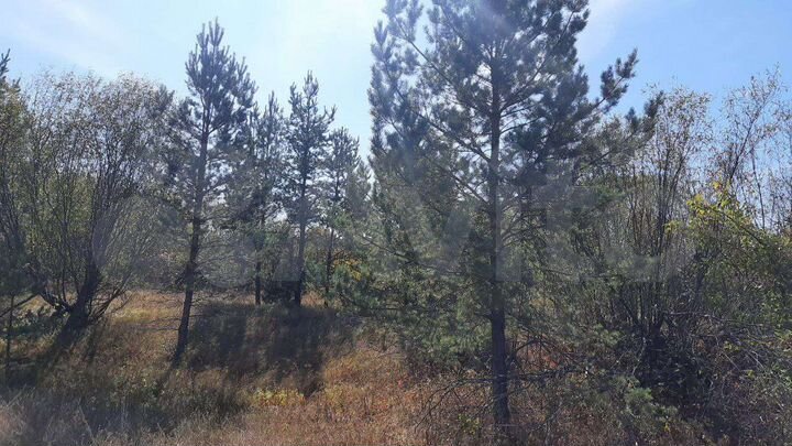 Участок 3,8 га (СНТ, ДНП)