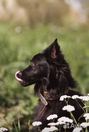 Шикарный подросток ищет семью