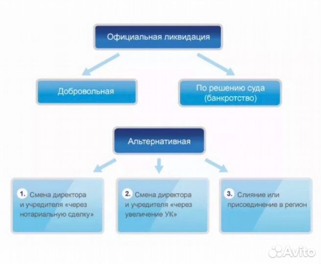 Альтернативная ликвидация ООО