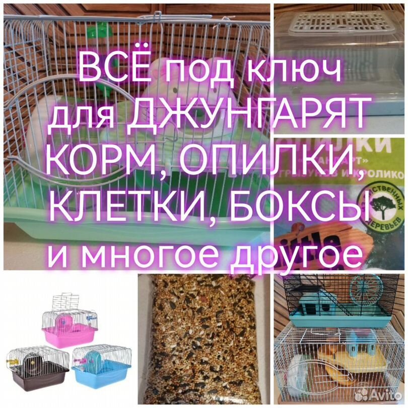 Джунгарские хомячки+всё для содержания