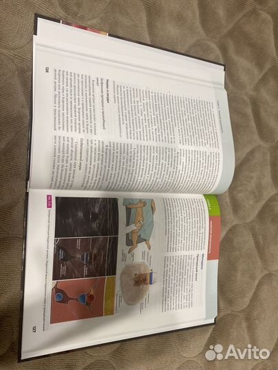 Продам книгу по основам ультразвуковой анатомии