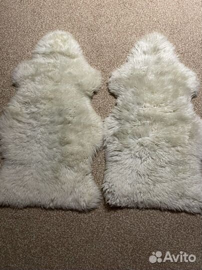 Продаю овечью шкурку