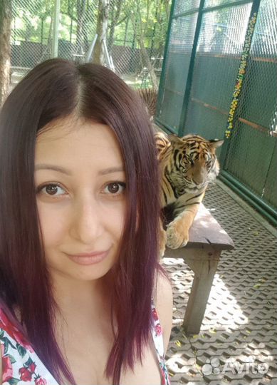 Фелинолог зоопсихолог для кошек