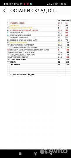 Аквариумные рыбки