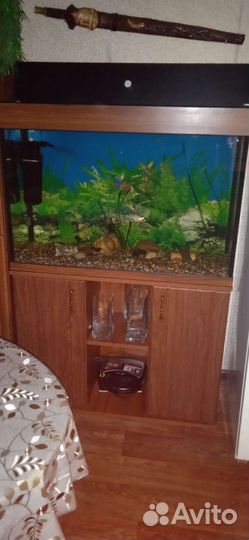 Аквариум с тумбой