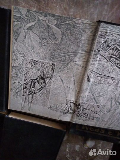 Энциклопедии Жизнь насекомых