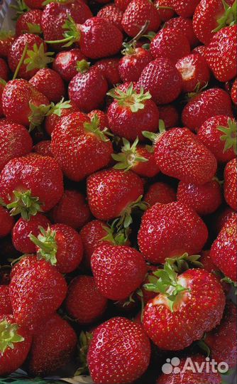 Черника, клубника