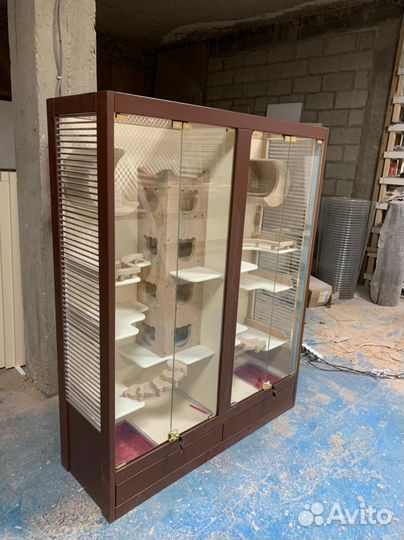 Витрина для шиншилл